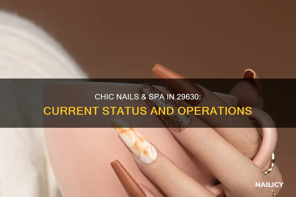 is chic nails & spa still operational in 29630