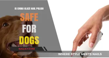 Is China Glaze Nail Polish Dog-Safe? A Pet Owner's Guide
