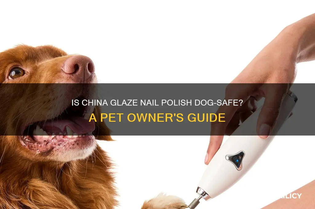 is china glaze nail polish safe for dogs