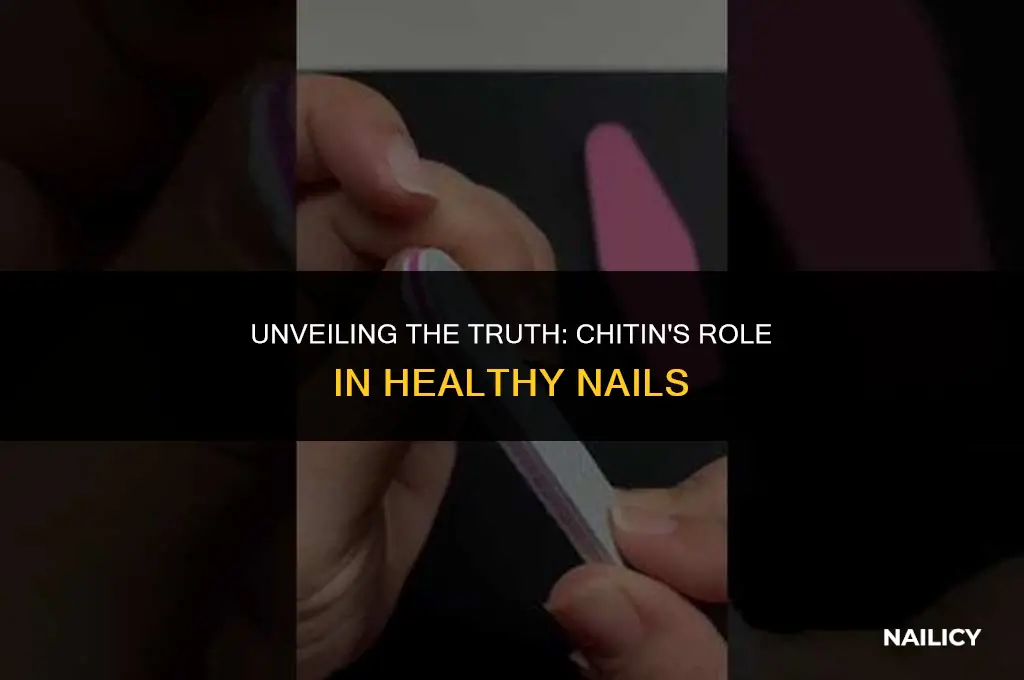 is chitin in nails
