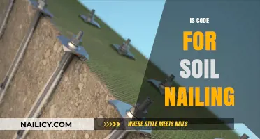 Exploring the Intricacies of Soil Nailing in Civil Engineering