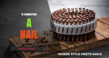 Exploring the Intricacies of Nail Connections in Woodworking
