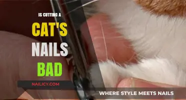 Trimming Cat Claws: Harmful or Helpful?