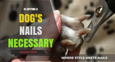 Trimming Dog Nails: Necessary or Not?