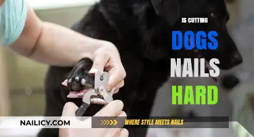 How Hard is Trimming Your Dog's Nails?