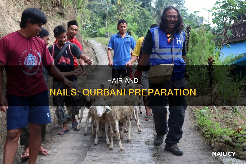 is cutting hair and nails before qurbani