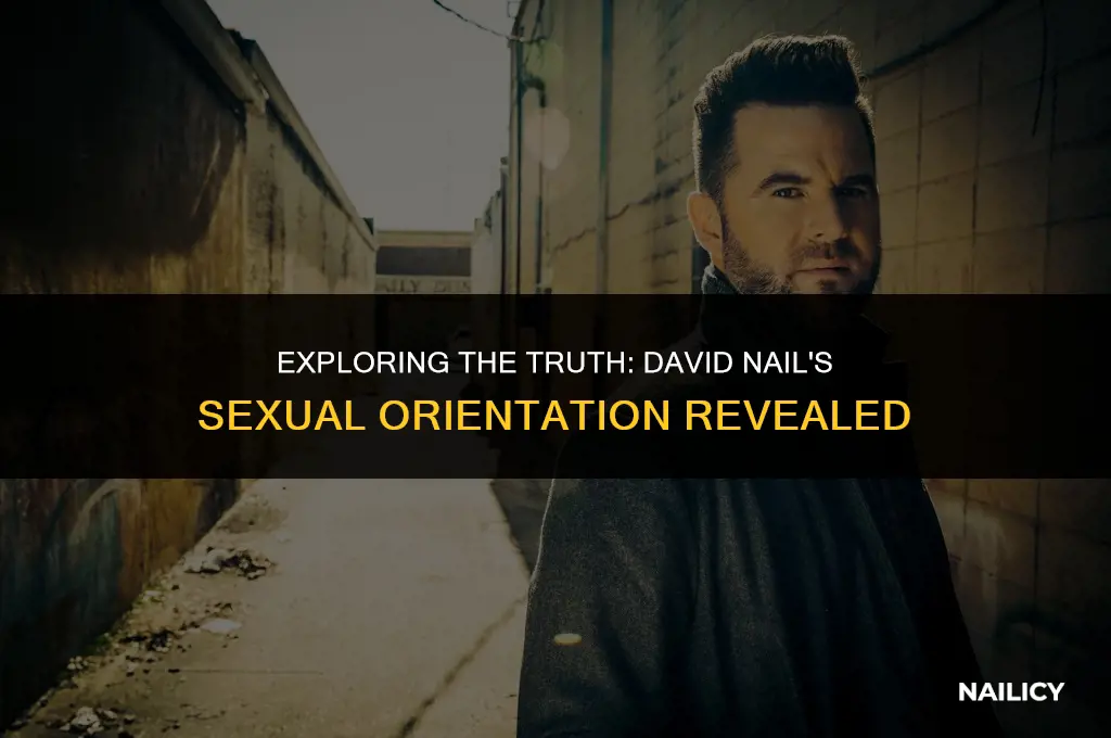 is david nail gay