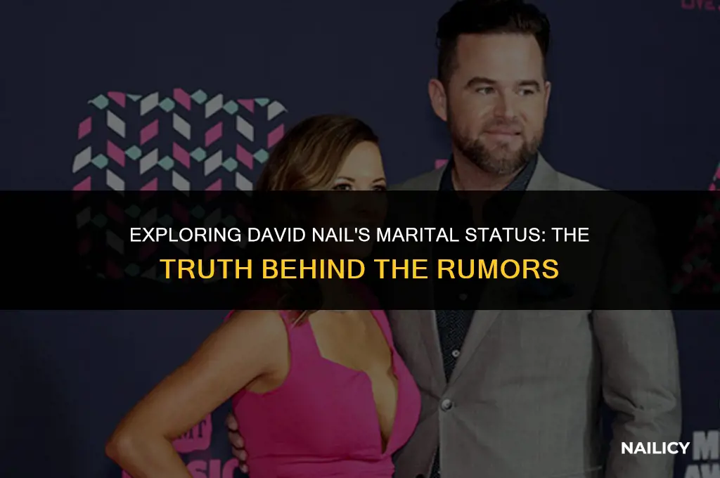 is david nail married