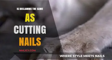 The Painful Truth: Declawing vs Nail Trimming