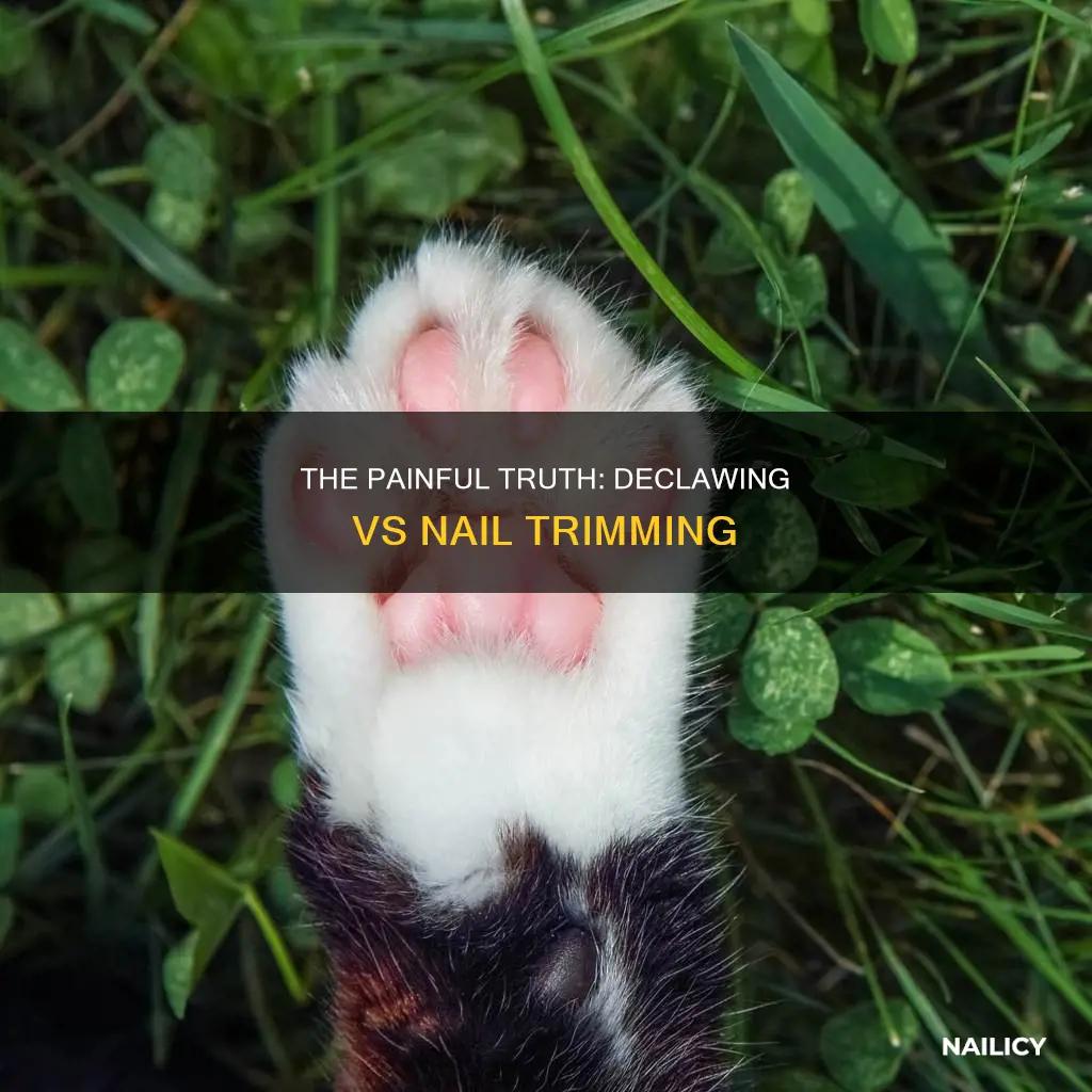 is declawing the same as cutting nails