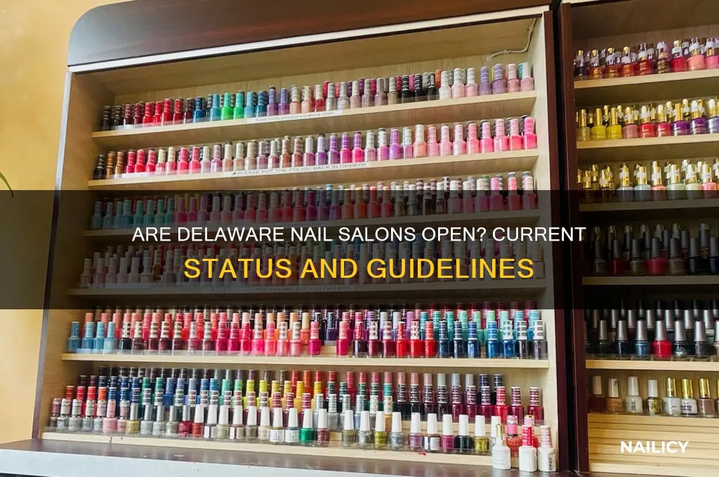 is delaware nail salons open