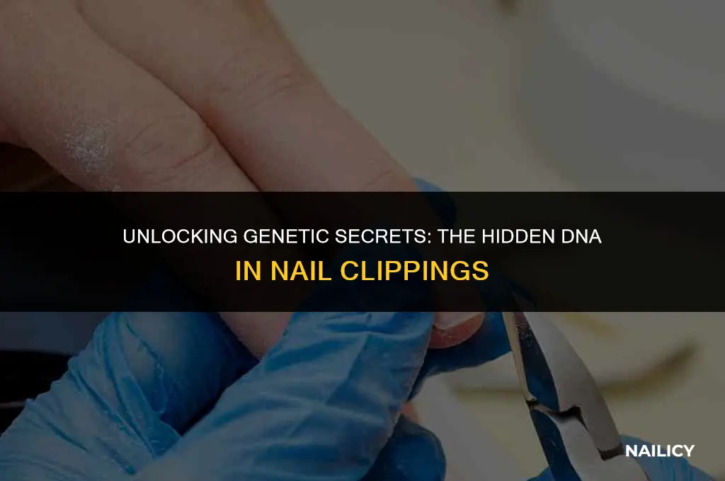 is dna in nail clippings