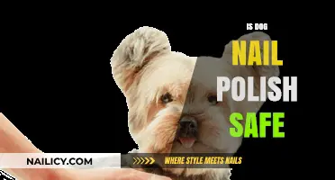 Is Dog Nail Polish Safe? A Pet Owner's Guide to Paw Care