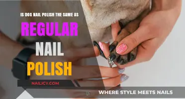 Dog Nail Polish vs. Human Nail Polish: Key Differences Explained