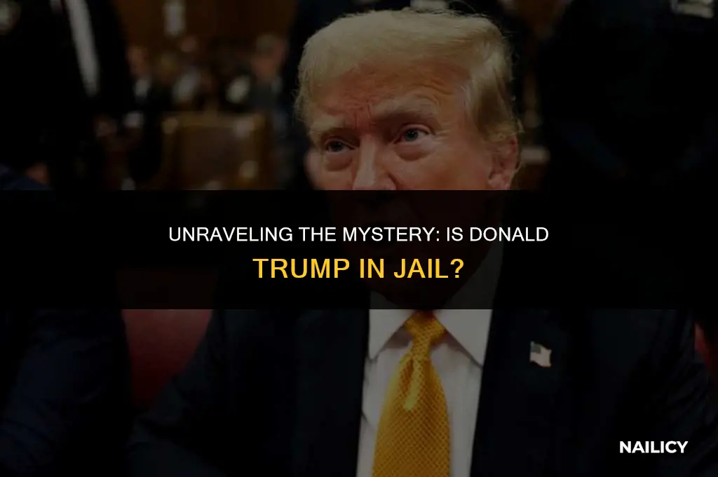 is donald trump in nail