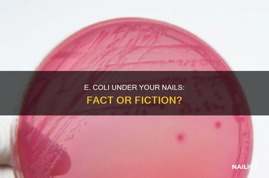 is e coli found under you nails
