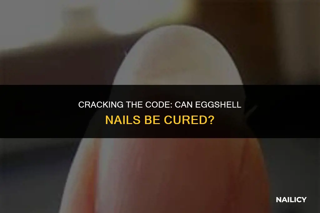 is eggshell nail curable