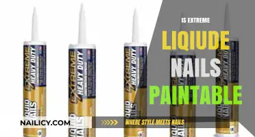 Exploring the Possibilities: Can You Paint Over Extreme Liquid Nails?