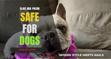 Are Gel Nail Polishes Safe for Our Canine Friends?