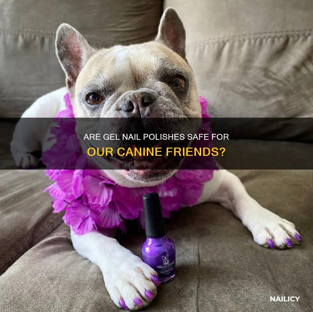 is gel nail polish safe for dogs