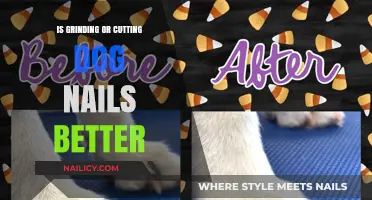 Grinding vs. Cutting: Which Method is Better for Dog Nails?