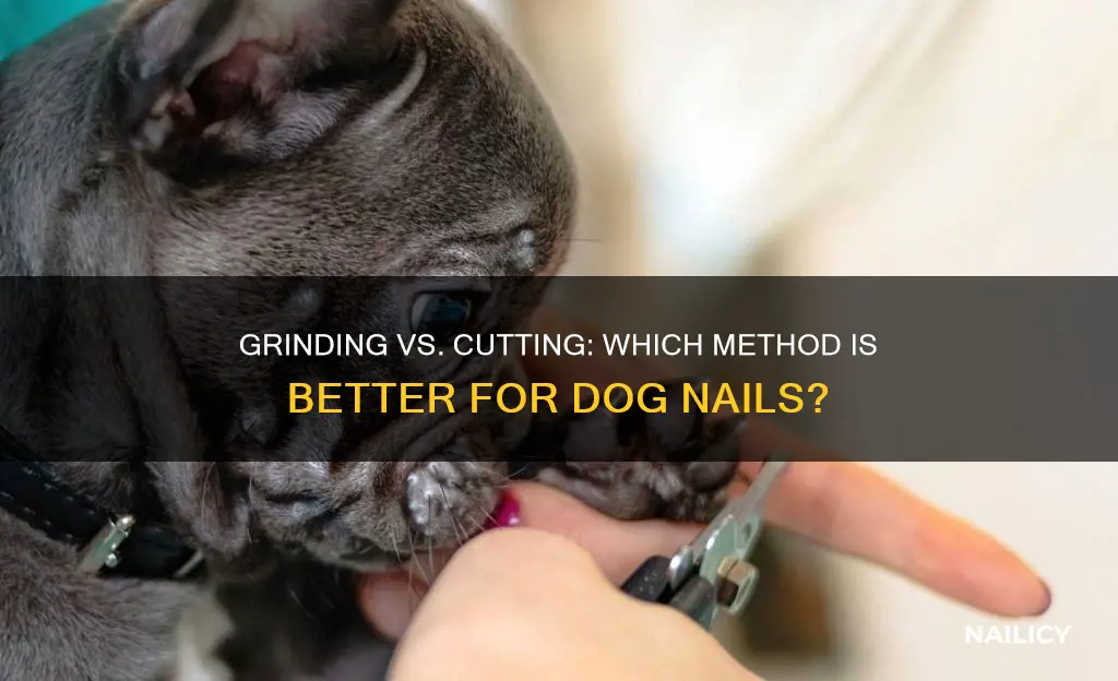 is grinding or cutting dog nails better