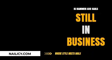 Is Hammer and Nails Still in Business? An Update on Their Status