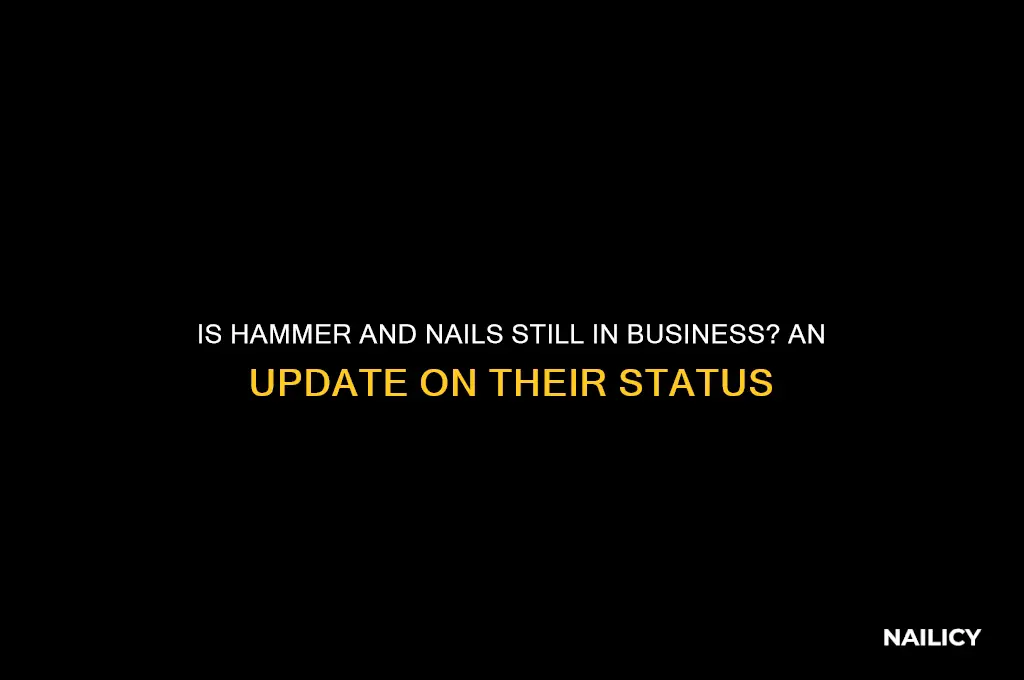is hammer and nails still in business