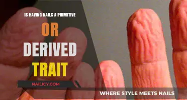Nails: Primitive or Derived? Unraveling the Evolutionary Mystery