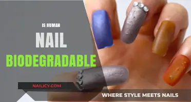 The Eco-Friendly Truth: Are Human Nails Biodegradable?
