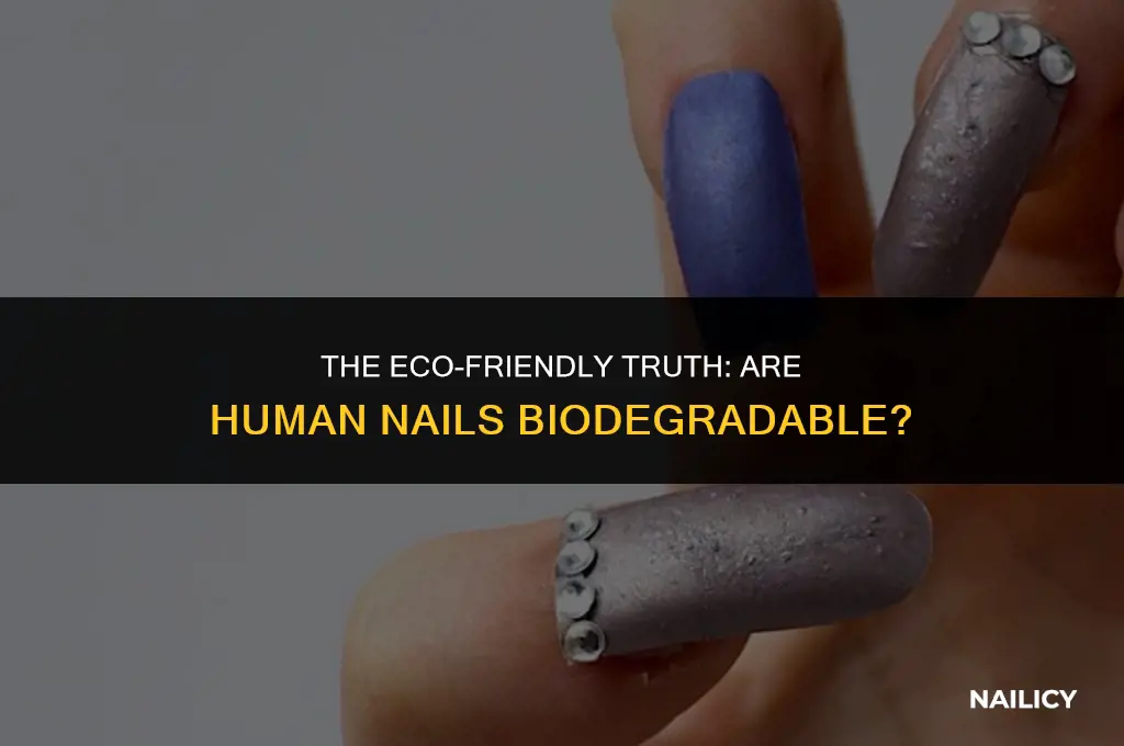 is human nail biodegradable