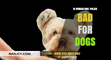 Is Human Nail Polish Harmful to Dogs? What Pet Owners Need to Know