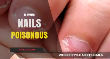 Unveiling the Truth: Are Human Nails Poisonous?