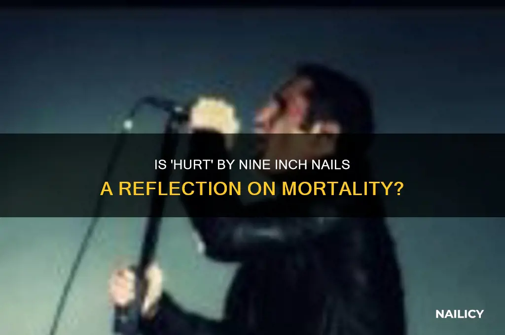 is hurt by nine inch nails about death