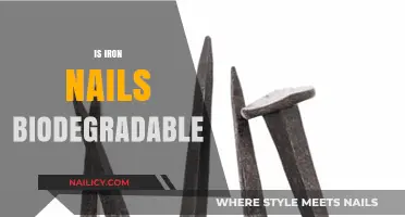 Unveiling the Truth: Are Iron Nails Truly Biodegradable?