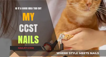 Trimming Cat's Claws: Good Idea or Not?
