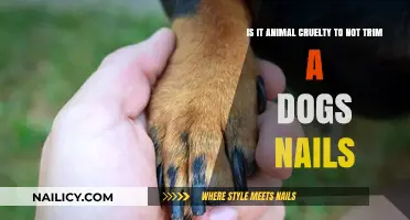 Dog Nail Trimming: Cruelty or Care?