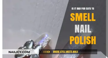 Is Nail Polish Harmful to Cats? Understanding the Risks
