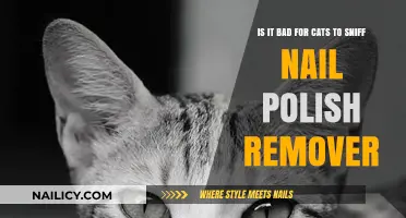 The Danger of Nail Polish Remover to Cats