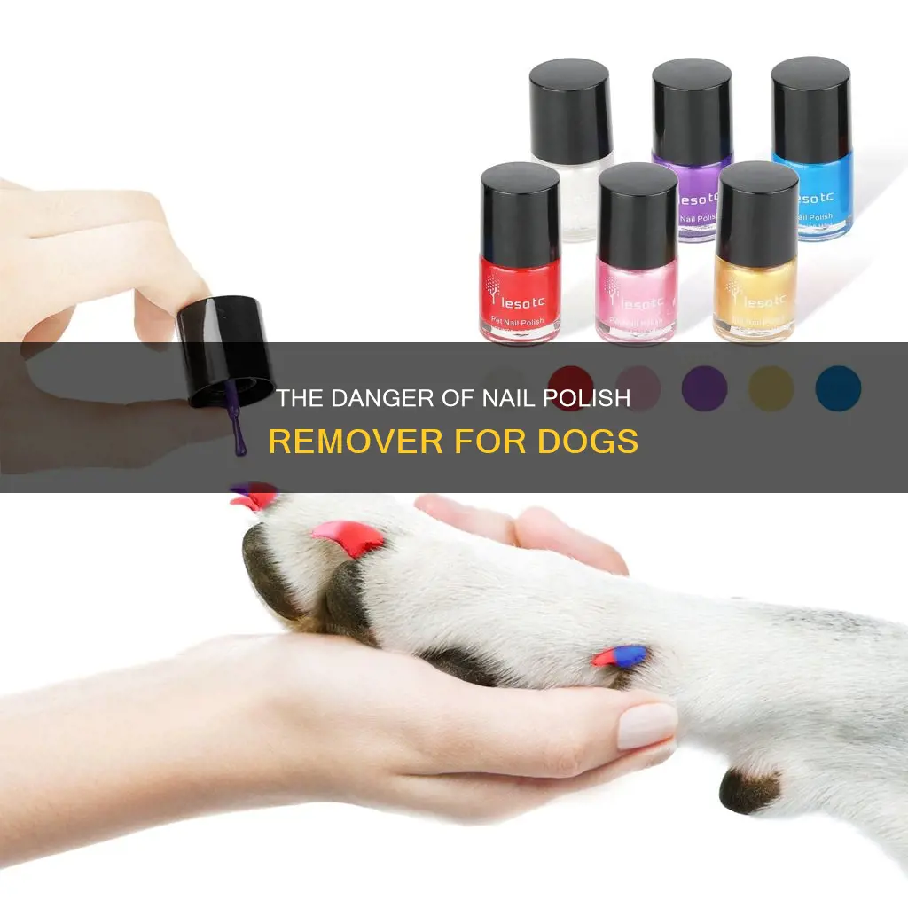 is it bad for dogs to smell nail polish remover