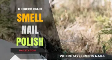 Is Nail Polish Smell Safe for Dogs? What Pet Owners Need to Know