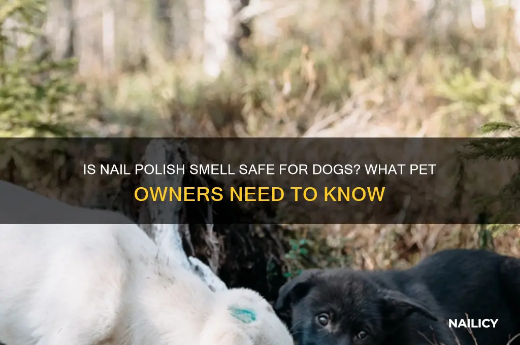 is it bad for dogs to smell nail polish