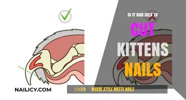 Trimming Kittens' Nails: Good or Bad Idea?