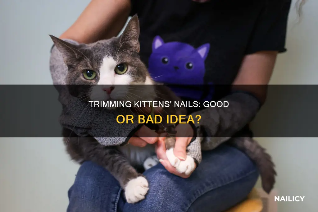 is it bad idea to cut kittens nails