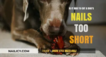 How Short is Too Short for Dog Nails?