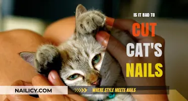 Trimming Cat's Nails: Help or Harm?