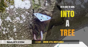 Nailing into Trees: Harmful Practice or Harmless Tradition?