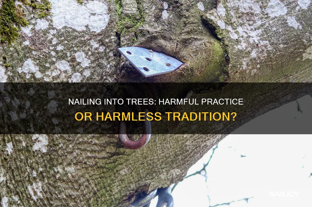 is it bad to nail into a tree