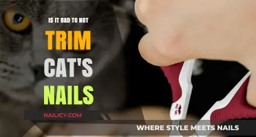 Why You Should Trim Your Cat's Nails: Health Risks and Benefits