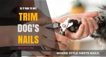 Trimming Dog Nails: Necessary or Not?